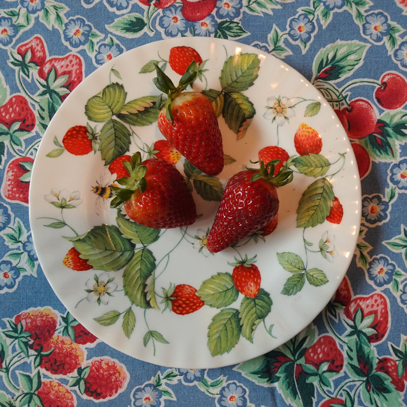 Soucoupe en os 7 po Alpine Strawberry