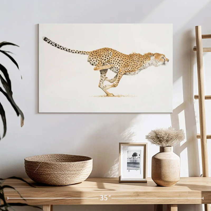 Chat sauvage Brampt