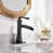 Oil Rubbed Bronze is out of stock