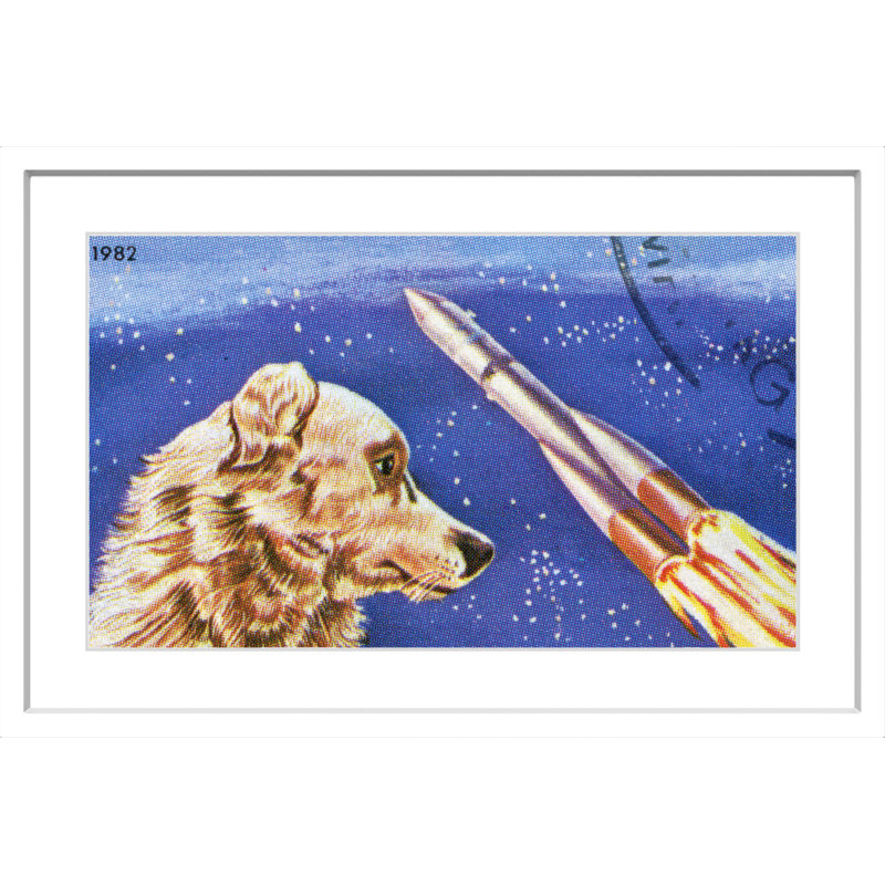 Dog Watches Takeoff - Print on Canvas, 61cm H x 91cm W x 3.81cm D