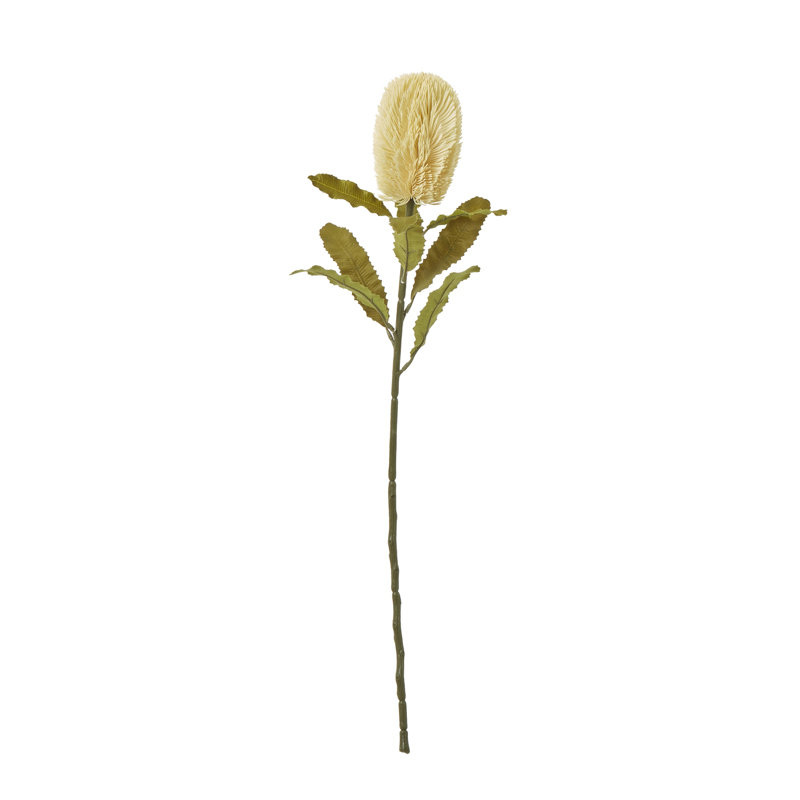 Arrangement, Cream