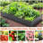841 Ft Raised Galvanized Garden Bed, Suitable For A Variety Of Crops - And Long Lasting, Open Base Planter Bed Ft, Perfect Gardening Vegetables, Fruits, Herbs Spacious, Reusable-987559825