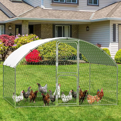 Chicken Coop