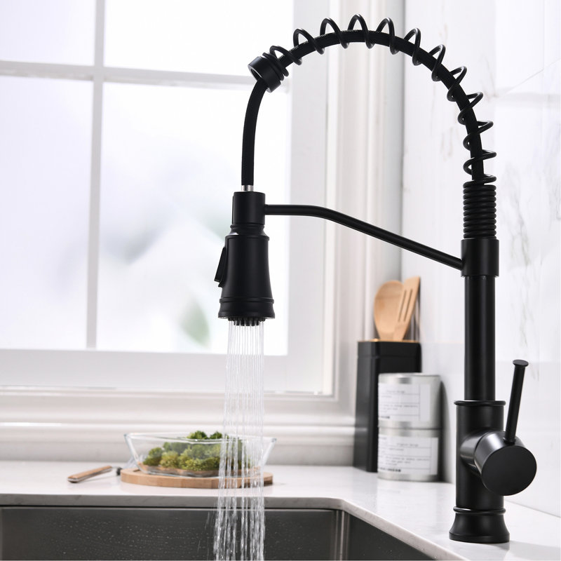Single Hole Black Kitchen Faucet With Pull Out - For Rotatable Modern