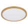 Plastic LED Flush Mount