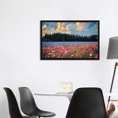 Flower Field Sunrise I by Dennis Frates - Print on Canvas