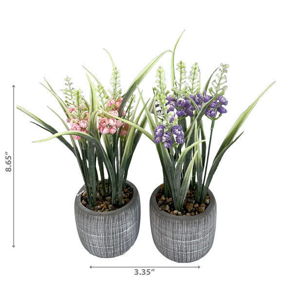 2 - Piece Artificial Flowering Plant in Pot Set (Set of 2) Primrue