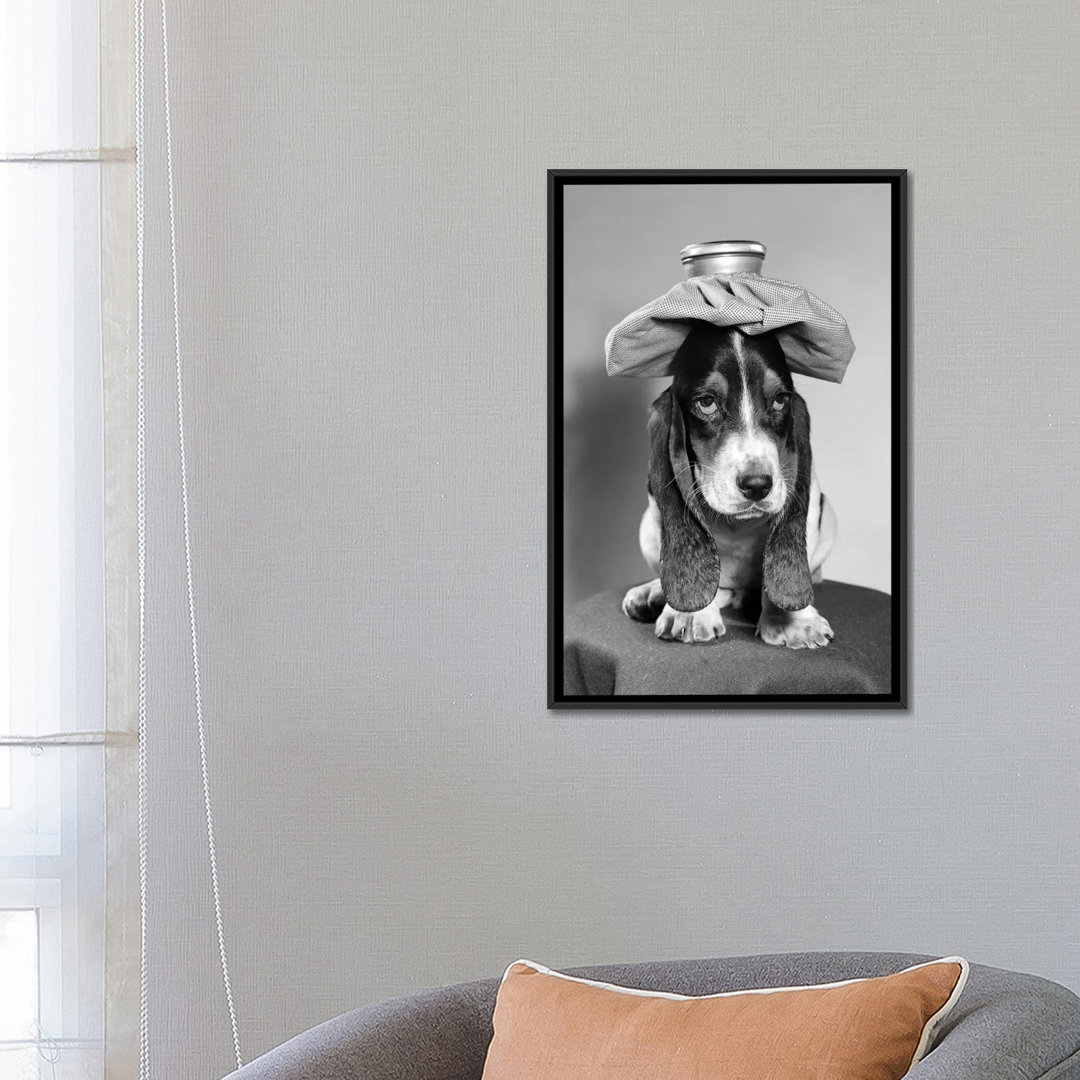 " Bassett Hound Dog With Ice Pack On Head " by Vintage Images East Urban Home Mat
