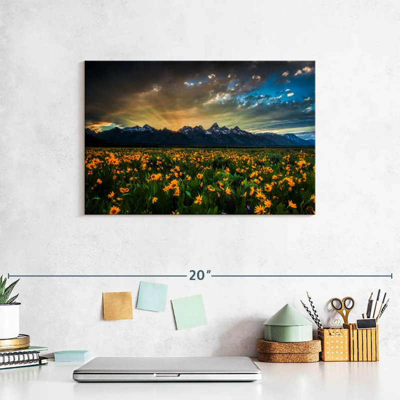 Rayons de soleil Alvord Grand Teton, H 8 po x l 12 po