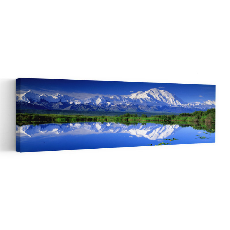 Alaska Range, Parc national de Denali, Alaska, États-Unis, paysage de lis contemporain abstrait, art mural, H 36 po x l 12 po