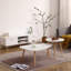 Table basse en forme d'œuf-1565525143