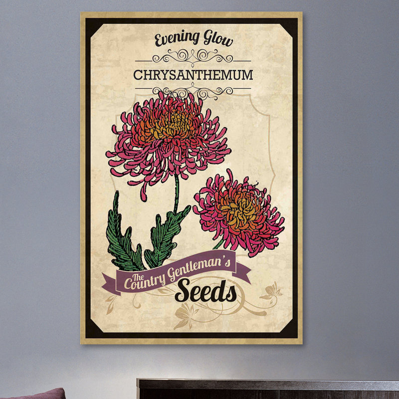 Chrysanthemum Flower Packet Canvas Print, 18" x 26"