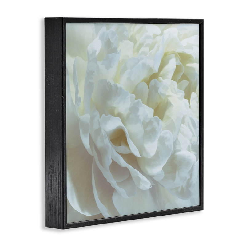 Giclée encadrée de pétales blancs élégants, design par David Pollard, Giclée encadrée noir minuit, H 24 po x l 24 po