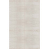 Area Rug in Gray