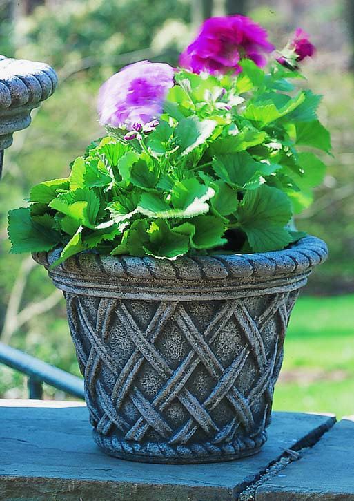 English Weave Handmade Planter, 18" H x 24" W x 24" D, Alpine Stone