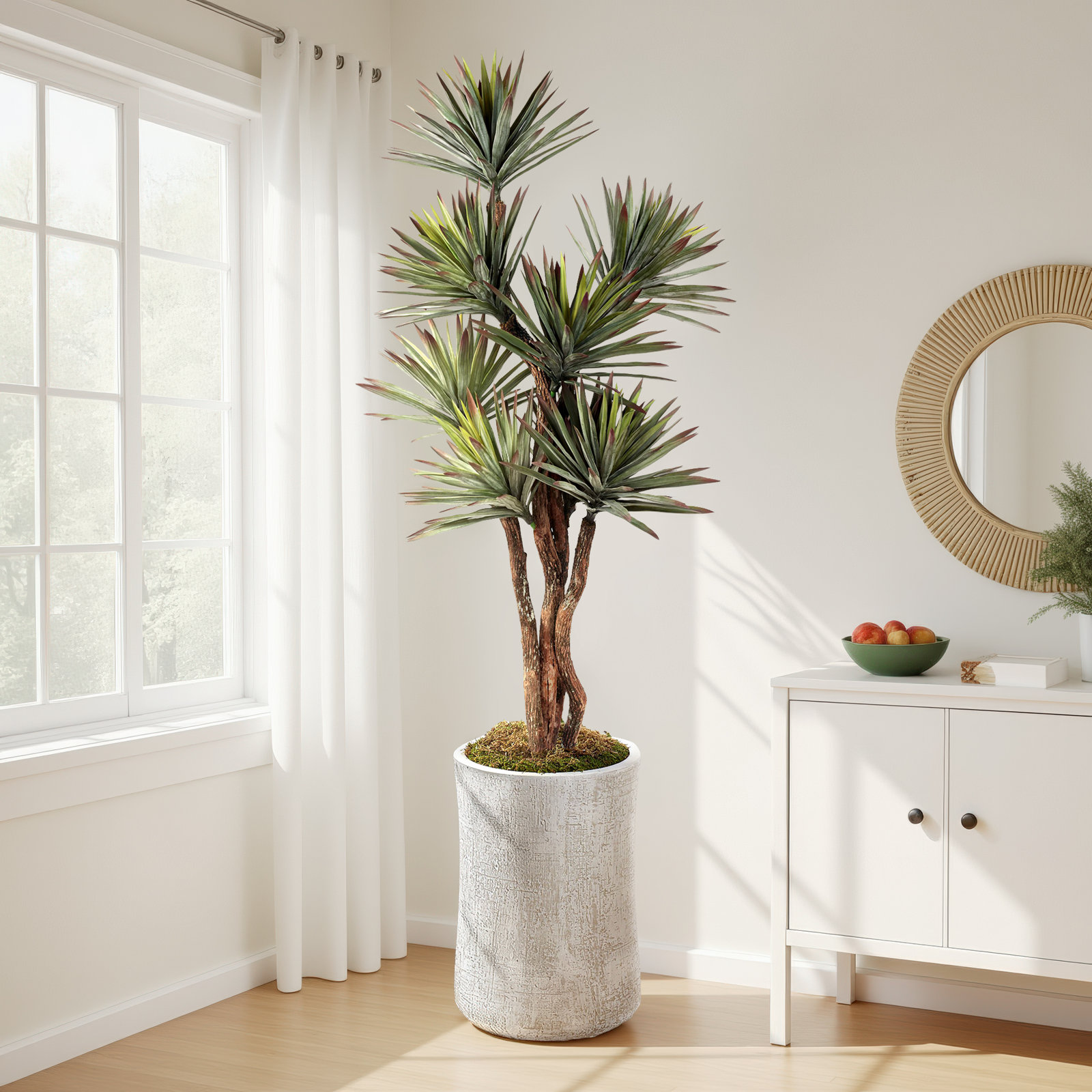 8' Agave Tree in White Weston Planter