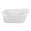 Eryn 60" Freestanding Soaking Bathtub-1673349469