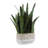 Uttermost Sansera Snake Accent Plant