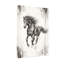 Animaux qui courent, croquis de cheval, reproduction d'art-211036149