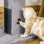 Latonya Scratching Post-189883566