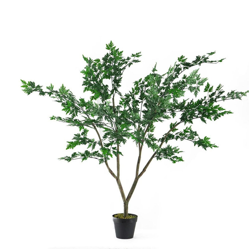 Arbre Polyscias Fruticosa, 43.3'' H X 31.5'' W X 31.5'' D