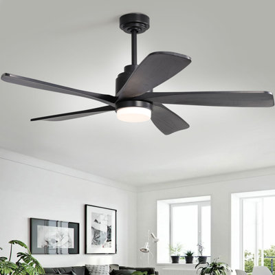 Damecia 52'' Ceiling Fan with LED Lights