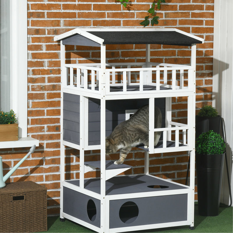 Joli chat extérieur en bois gris