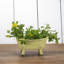 Mini porte-savon Colburn-911383869