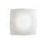 Hartung Flush Mount
