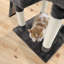 Amarious Cat Perch