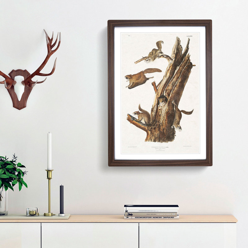Flying Squirrels by J.W. Audubon - Framed Print, 65cm H x 48cm W x 2cm D, Walnut Framed