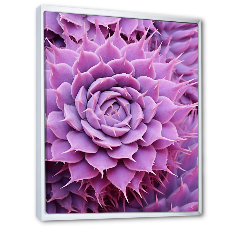 Cactus Mauve Majesty sur toile, Cadre flottant blanc, H 20 po x l 12 po x P 1 po
