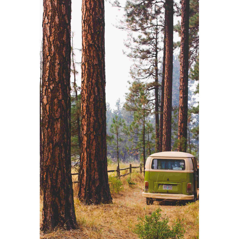 Green Van in Forest - Impression sur toile tendue, H 18 po x l 12 po