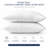 Sleep by Wayfair™ Pack of 2 Cooling Down Alternative Gel Bed Pillows-1120041485