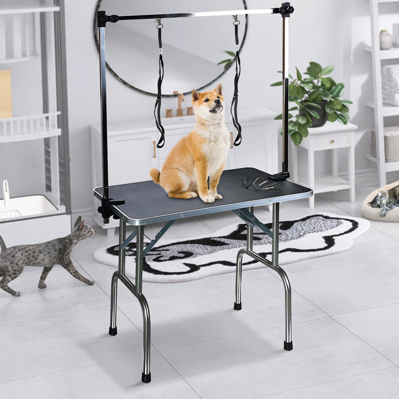 Table de toilettage professionnelle réglable, H 30 po x l 42 po x P 23,5 po, Noir