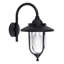 Springvale Black/Transparent Outdoor Wall Lantern