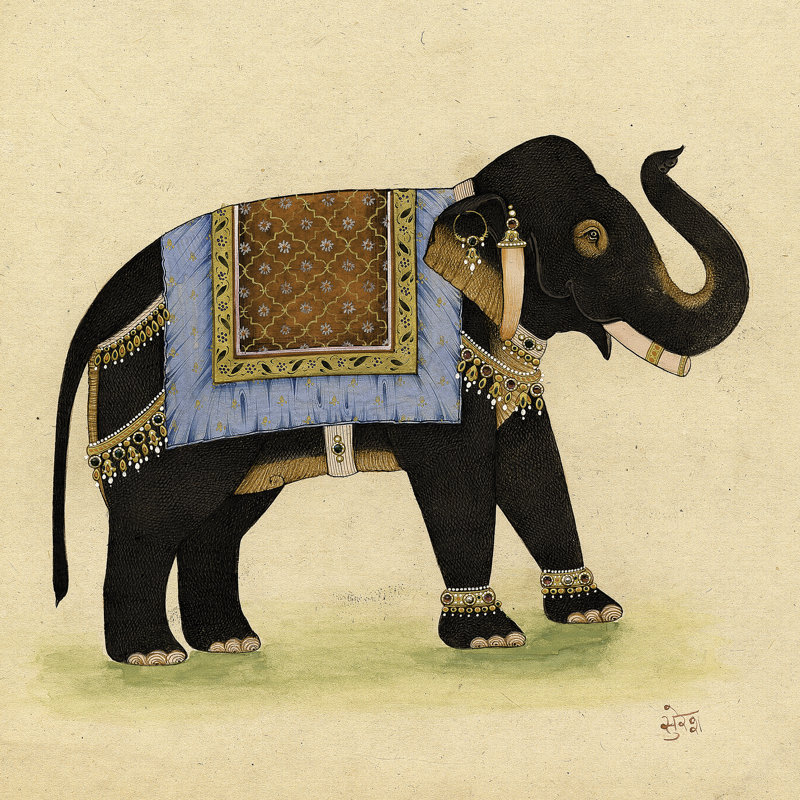 «On FAP Elephant from India I», impression sur toile, H 12 po x l 12 po, Toile tendue