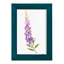 Annie's Foxglove II-117257997-117258032