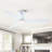 Kamy 52'' Ceiling Fan with LED Lights
