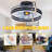 Eemil 20'' Ceiling Fan with LED Lights