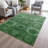 Machine Washable Indoor/Outdoor Xhevrie Emerald Rug-1975090118