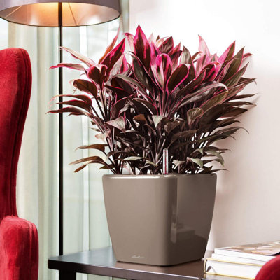 Quadro Premium Pot Planter