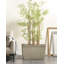 Ceria Pot Planter-704854913