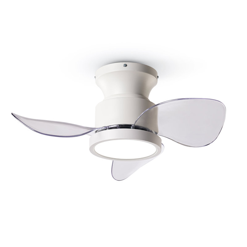 Ventilateurs de plafond avec lumières Wrought Studio ™ avec télécommande 22 pouces, Blanc avec pales transparentes