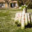 Newkirk Tablecloth-2062764961