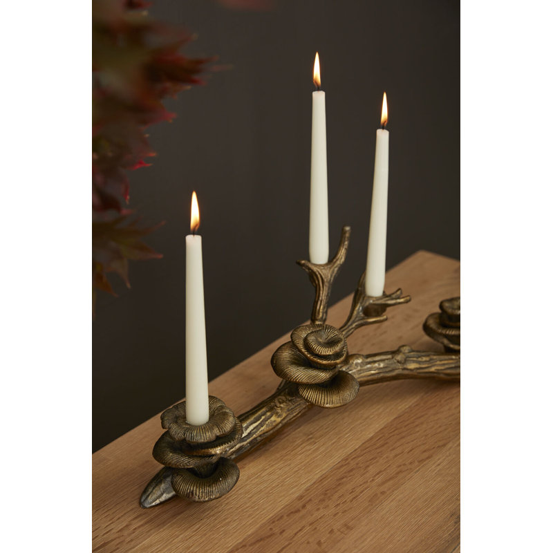 Oyster Mushroom Candleholder