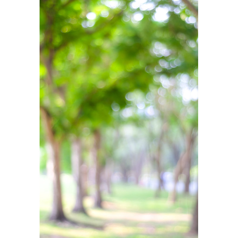 Blur Park by Mangpor_2004 - Wrapped Canvas Print, 46cm H x 30cm W