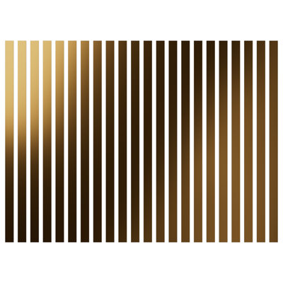 Adjustable Acrylic Slat Wall Panel Kit