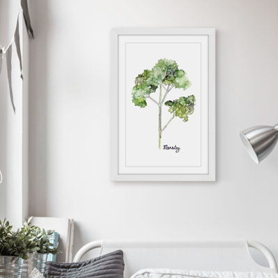 " Herb Parsley " by Rachel Byler