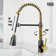 Brant 19 H 1-handle Pull-Down 2-Function Sprayer Kitchen Faucet